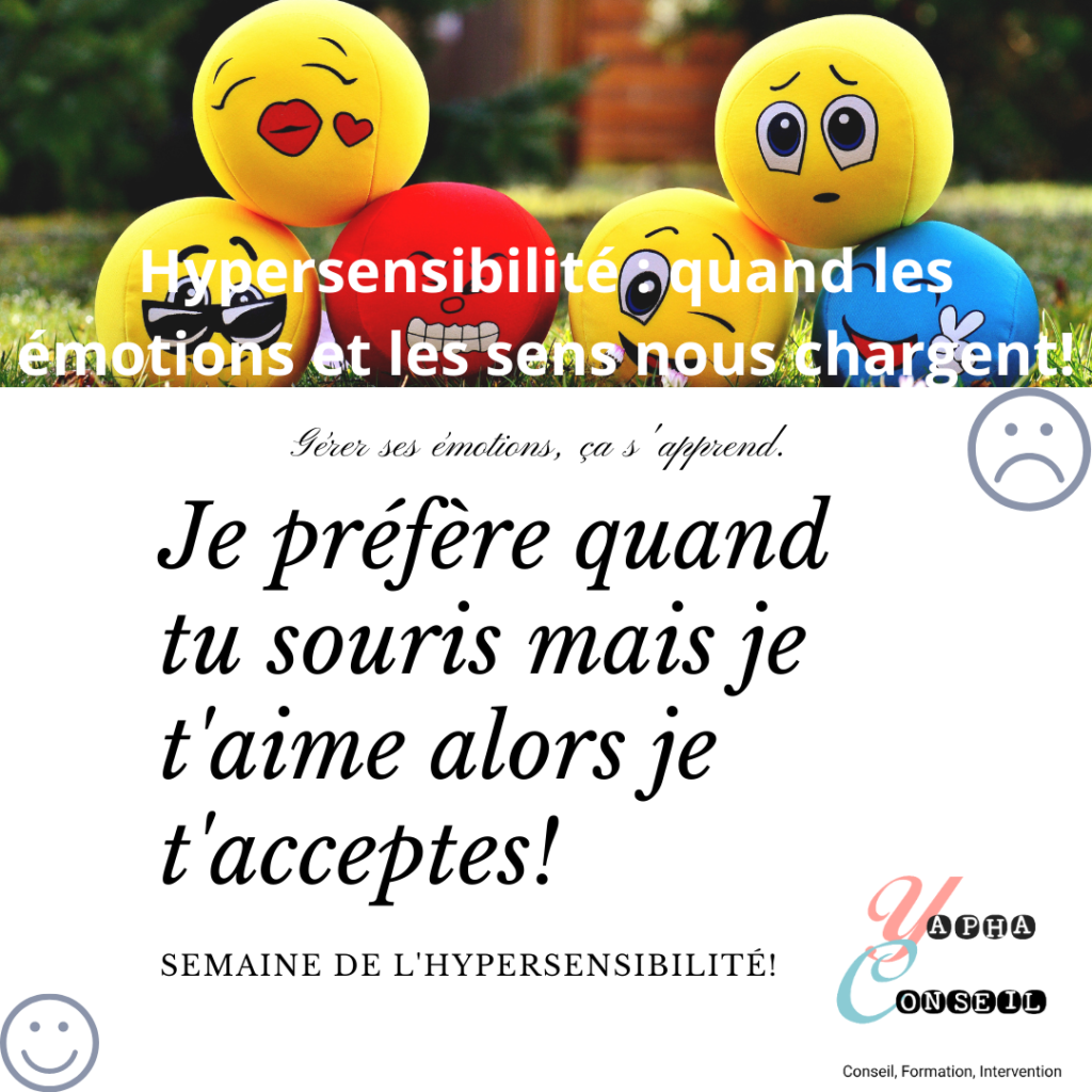 Mes Articles Yapha Conseilyapha Conseil C Est Le Potentiel De Chacun Qui Fait La Force De Tous L Inclusion N A Pas Lieu D Etre Dans Une Societe Qui Ne Regarde Pas La Difficulte